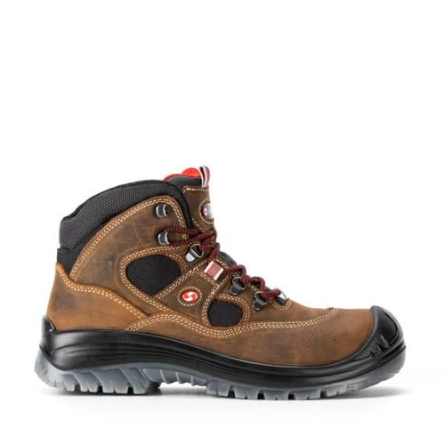 Sixton labrador src - sixton,