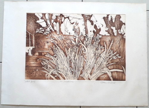 Edwin dell ara rare print - la,