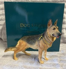 Leonardo German Shepherd