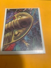 FIGURINA N. 27 ANIMALI