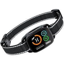 collare antibark, cane