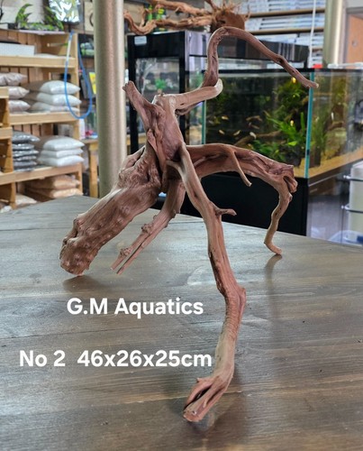 Acquario acquascape - acquario,