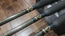 3x Daiwa Kevin Nash 12 piedi 2