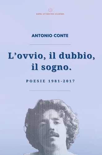 Ovvio dubbio il - l'ovvio,, dubbio,