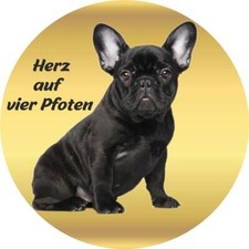 Francese Bulldog Cane Adesivo