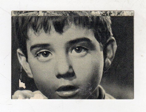 Figurina marcellino pane - marcellino,
