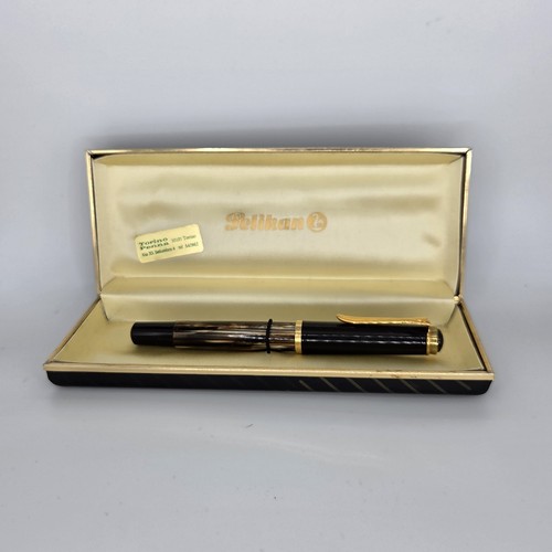 Penna stilografica pelikan - penna,