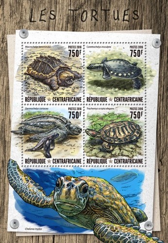 Centrafrique 2016 - ,
