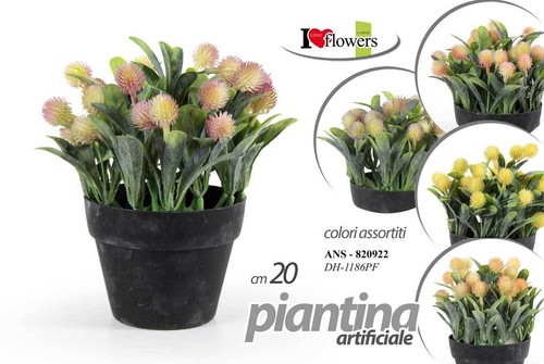 Pianta piantina finta - piantina,