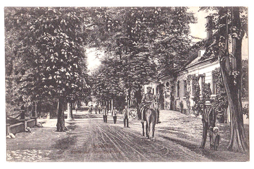 Cartolina prussia occidentale - cartolina,