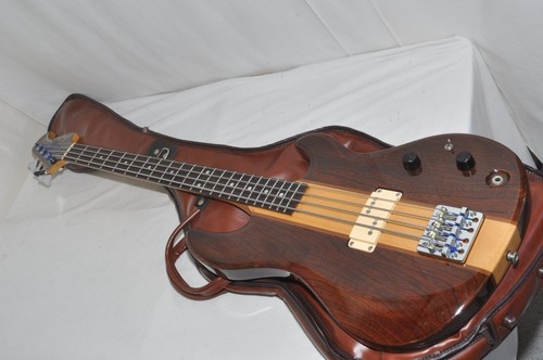 Aria pro tsb 500 chitarra - pro, ii