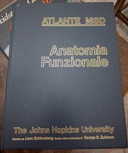 Atlante msd anatomia - atlante,