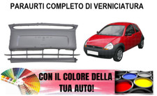 PARAURTI Anteriore VERNICIATO
