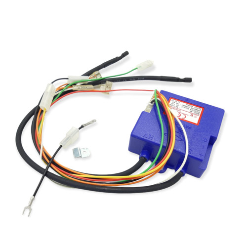Sylber scheda elettronica - scheda,