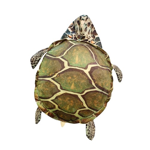 Guscio tartaruga - guscio,