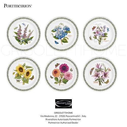 Portmeirion botanic garden - -,