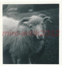 Foto, Nachl. Karl Gissenler