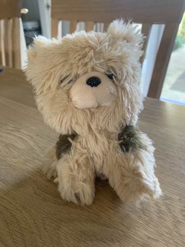 Russ petooties pets yorkshire - russ,