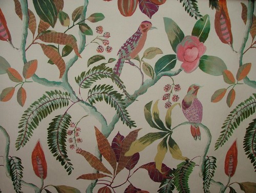 Coloniale uccelli lotus spesso - lotus,