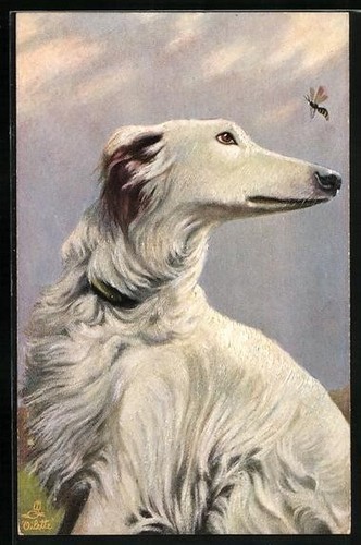 Cartolina artistica levriero - artistica,