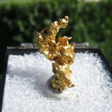 Minerali *** RARA PEPITA d'ORO