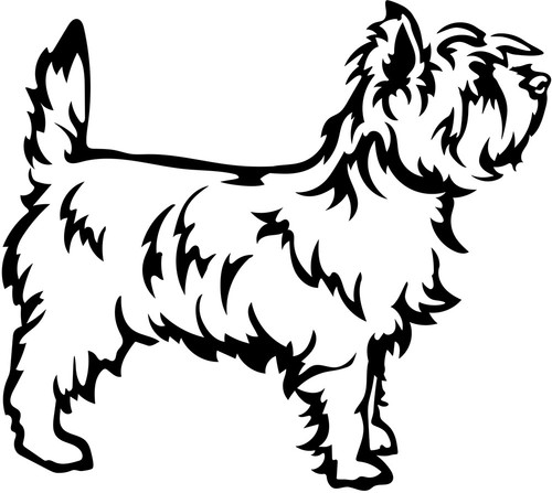 Adesivo cairn terrier - adesivo,