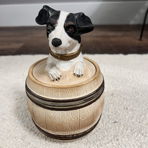 Fox terrier jack russell - fox,