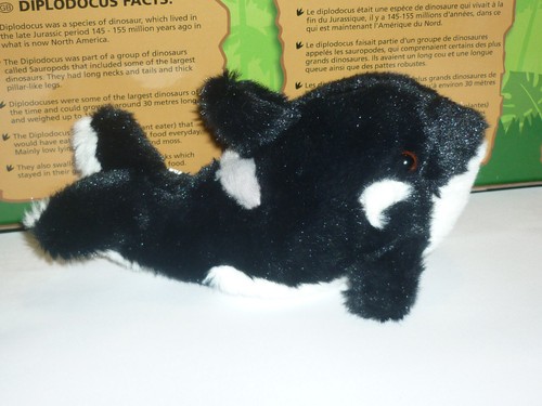 Orca pupazzo peluche animale - peluche,