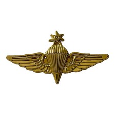 Distintivo ali paracadutista