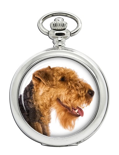 Welsh terrier orologio - terrier, da