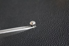 OROLOGIO anni 60 AQUADIVE YACHTING OLLECH WAJS 2002 PHILIP JENNY CARIBBEAN CORONA 7mm