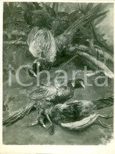 1935 MILANO Quadro "Fagiani" di Arturo DAZZI esposto a una mostra *FOTOGRAFIA