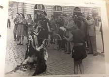 RIPRODUZIONE FOTO ALINARI