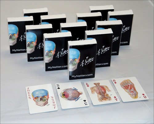 Netter playing cards - netter,