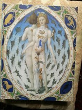 Codices illustes I codici