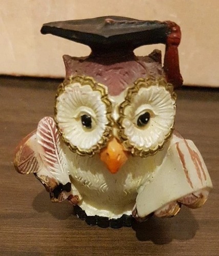 Gufo gufetto accademico - accademico, laurea