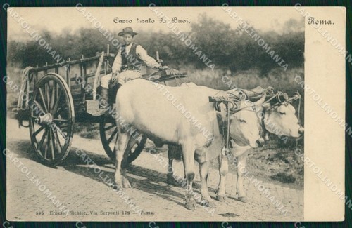 Roma città costumi carro - roma,