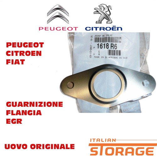 Peugeot citroen fiat - citroen,