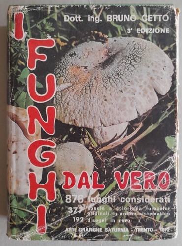 V1624 cetto bruno funghi - bruno_i, dal