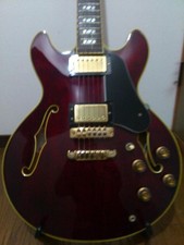 Greco SV-800 con custodia