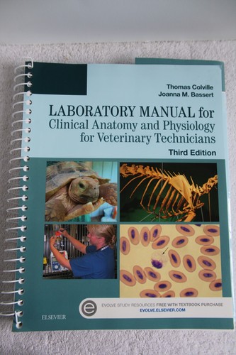 Clinical anatomy and - clinical,
