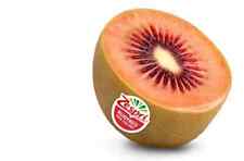 25 SEMI DI KIWI ROSSO VARIETÀ "ACTINIDIA CHINENSIS" + regalo