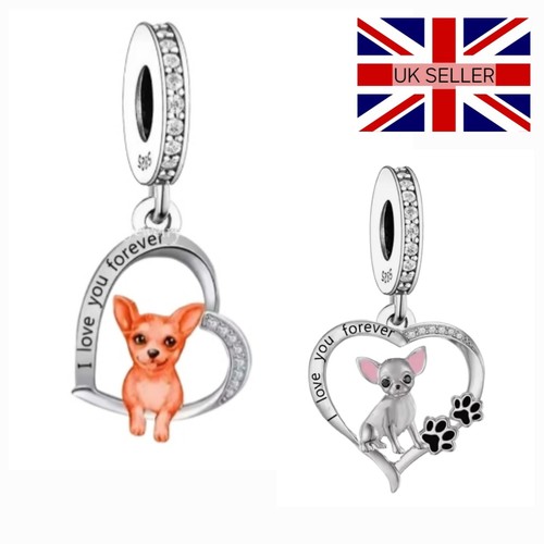 Charm chihuahua argento 925 - in,