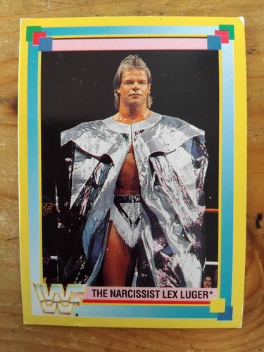 Vintage wrestling 1993 - vintage,