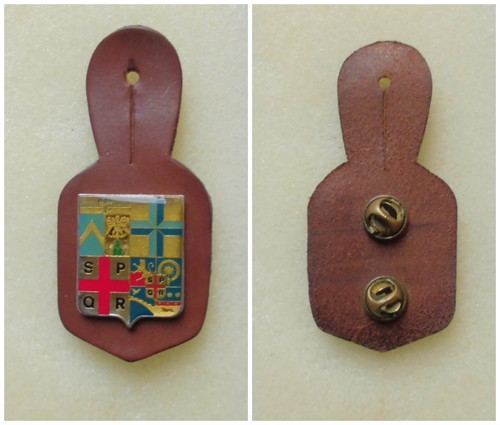 Distintivo esercito italiano - distintivo,