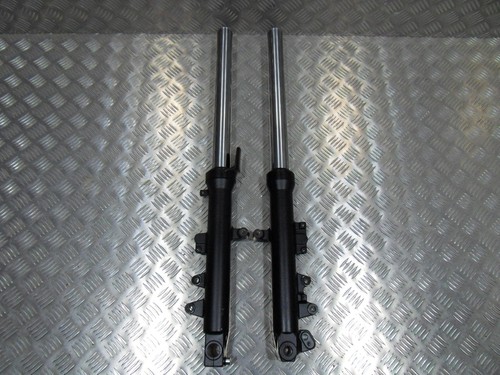 Coppia gambe forcella