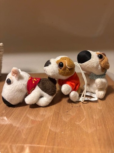 The dog peluche set - the,