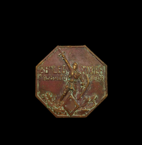 Medaglia ccnn legione - medaglia, 26