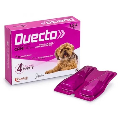 Candioli duecto 4 - duecto,