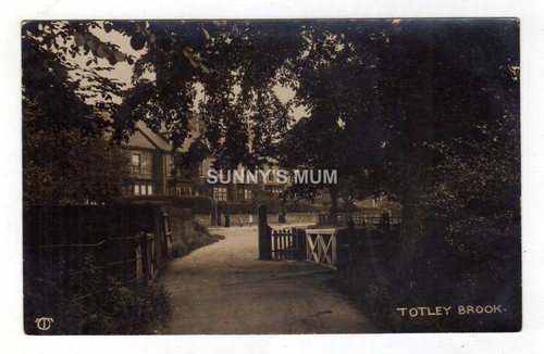 Yorkshire sheffield totley - sheffield,,